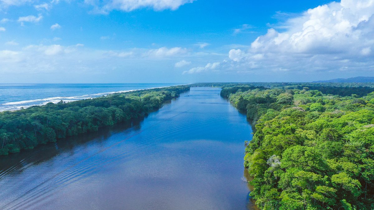 Tortuguero canals view